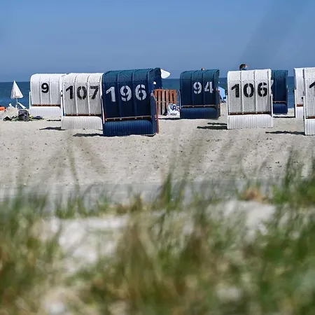 Tiny Spot - Tiny House Connect 4 שיליג